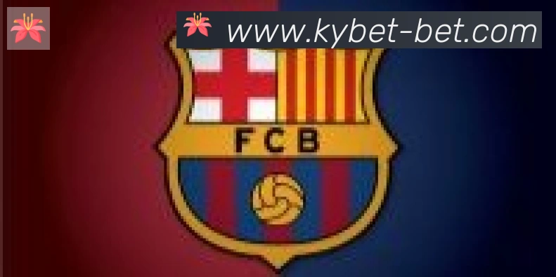 开云合作伙伴